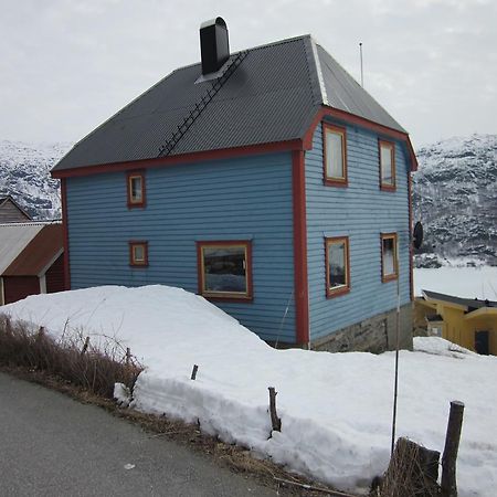 The Blue House, Roldal Villa Eksteriør bilde