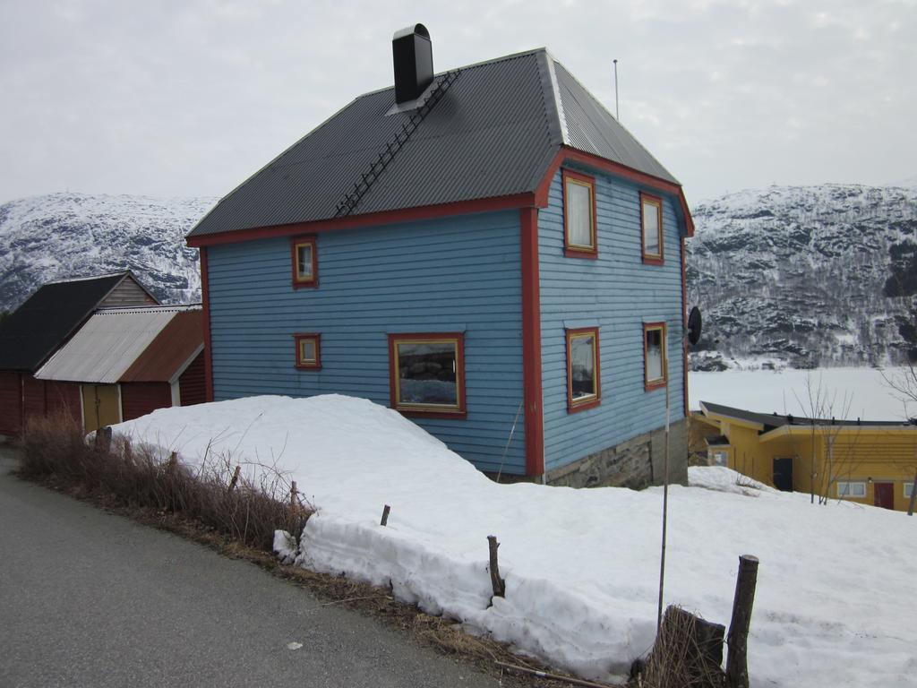 The Blue House, Roldal Villa Eksteriør bilde